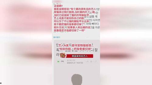 韩国兽医爆料视频,揭露宠物食品行业惊人内幕 第2张 韩国兽医爆料视频,揭露宠物食品行业惊人内幕 第2张