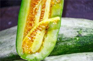 网红蔡二哥吃瓜,揭秘网红圈幕后故事 第3张 网红蔡二哥吃瓜,揭秘网红圈幕后故事 第3张